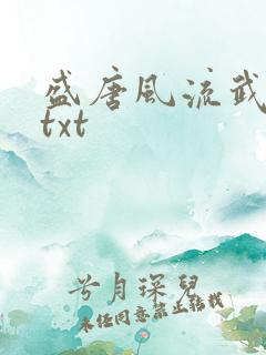 盛唐风流武状元txt