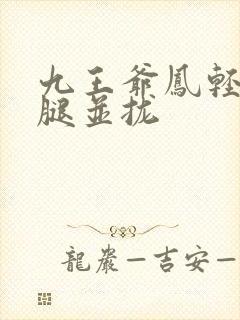 九王爷凤轻尘把腿并拢