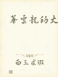 华云龙的大宝贝