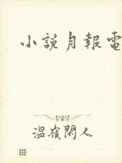 小说月报电子版