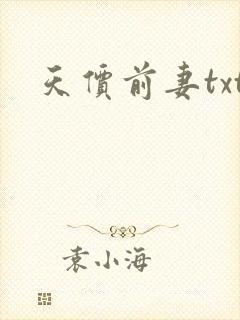 天价前妻txt