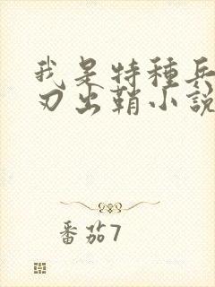 我是特种兵之利刃出鞘小说