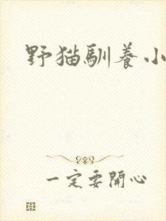 野猫驯养小说