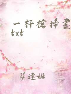 一杆枪扫尽全家txt