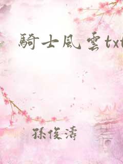 骑士风云txt