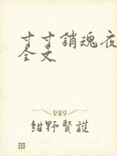 寸寸销魂夜春光全文