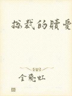 总裁的赎爱宝贝