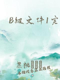 B级文件1完整