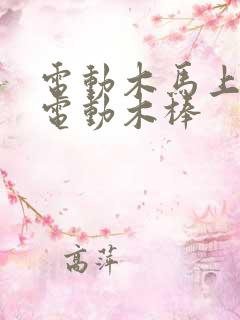 电动木马上两个电动木棒