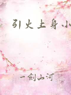 引火上身小说