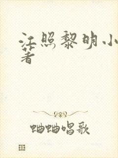 江照黎明小说原著