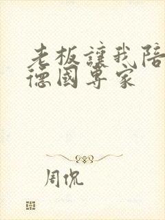 老板让我陪两个德国专家