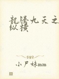 龙腾九天之异世纵横