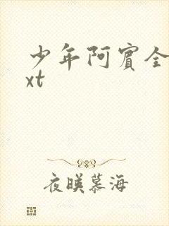 少年阿宾全集txt