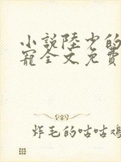 小说陆少的心尖宠全文免费阅读