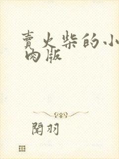 卖火柴的小男孩 肉版