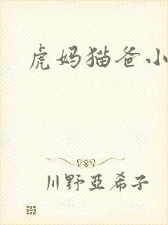 虎妈猫爸小说