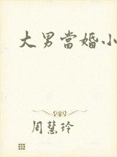 大男当婚小说