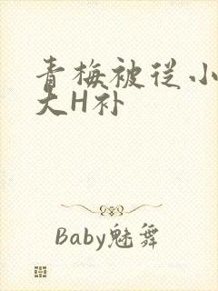 青梅被从小摸到大H补