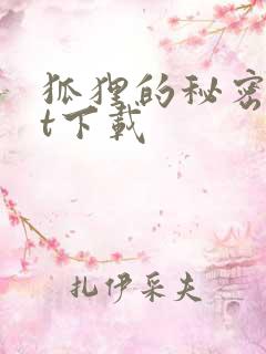 狐狸的秘密txt下载