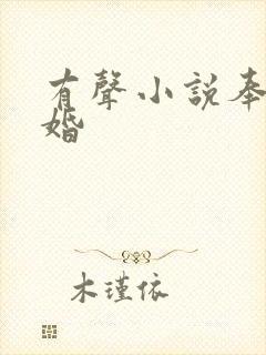 有声小说奉子成婚