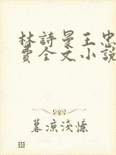 林诗曼王忠文免费全文小说的名称