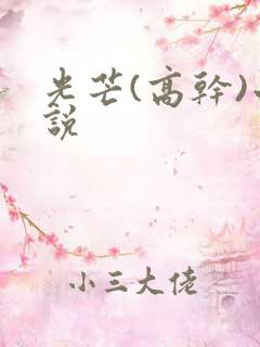 光芒(高干)小说