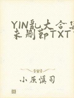 YIN乱大合集未删节TXT下载