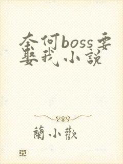 奈何boss要娶我小说