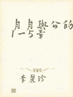 月月与公的激情1一5章