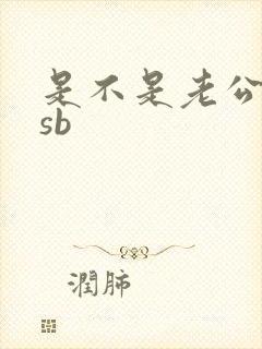 是不是老公的小sb