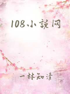 108小说网
