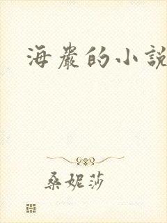 海岩的小说