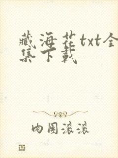 藏海花txt全集下载
