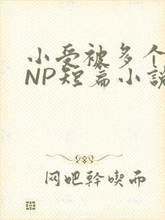 小受被多个攻强NP短篇小说