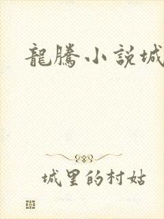 龙腾小说城