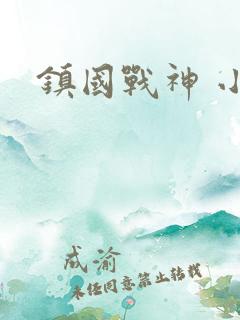 镇国战神 小说