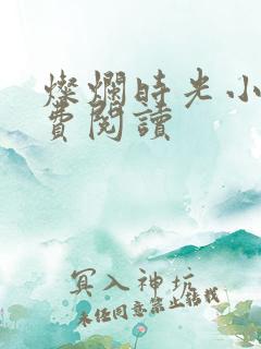 灿烂时光小说免费阅读