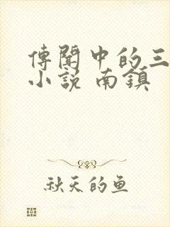 传闻中的三公主小说 南镇