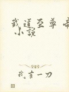 武道至尊 帝临 小说