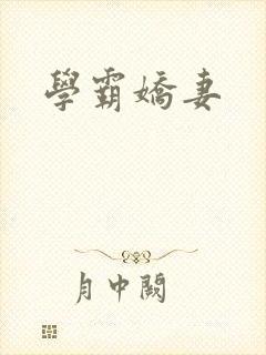 学霸娇妻