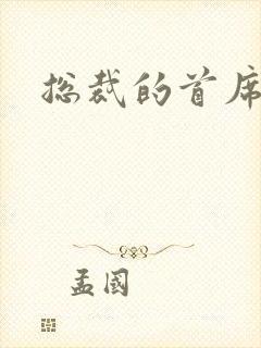 总裁的首席保姆