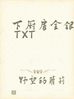 下厨房金银花露 TXT