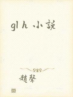 gl h 小说