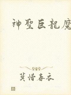 神圣巨龙魔法师