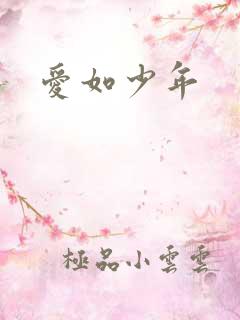 爱如少年
