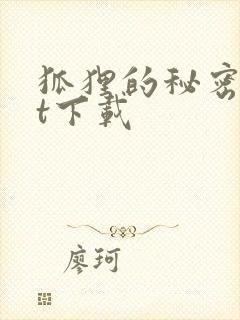 狐狸的秘密txt下载