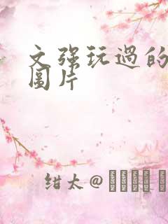 文强玩过的女人图片