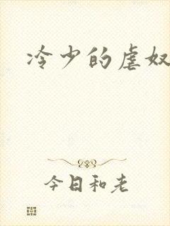 冷少的虐奴