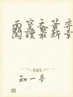 南宝衣萧弈免费阅读最新章节